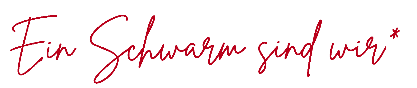 schriftzug24